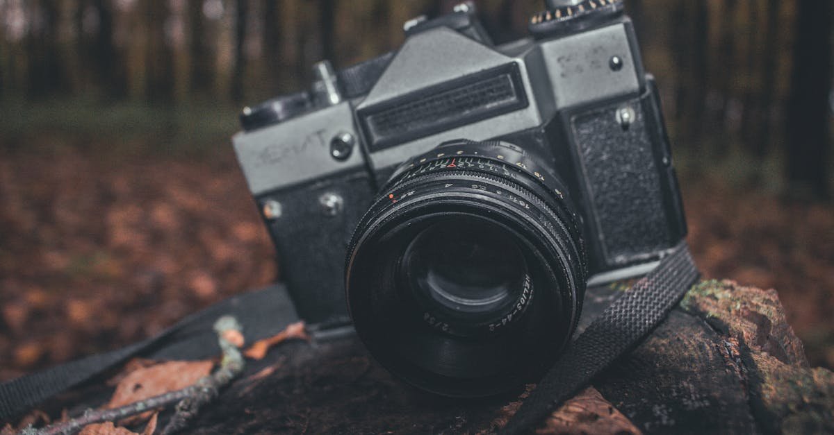 Od zera do migawki: Twój prosty start w fotografii